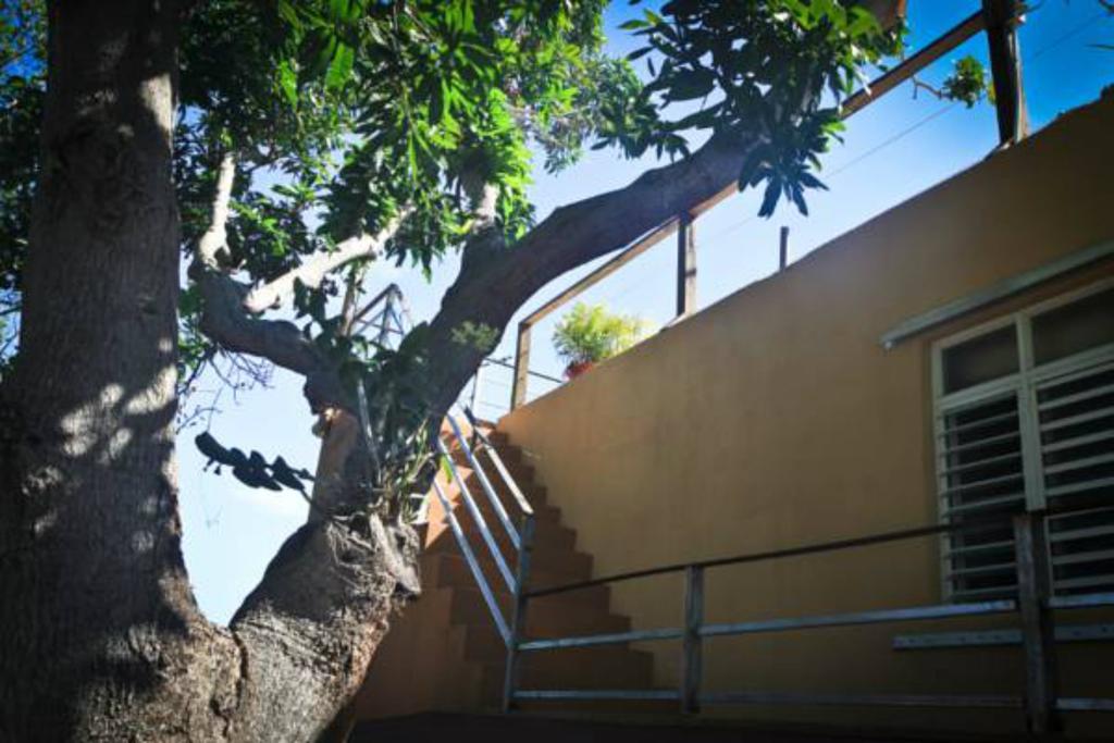 Villa Coral Guesthouse Vieques Exterior foto