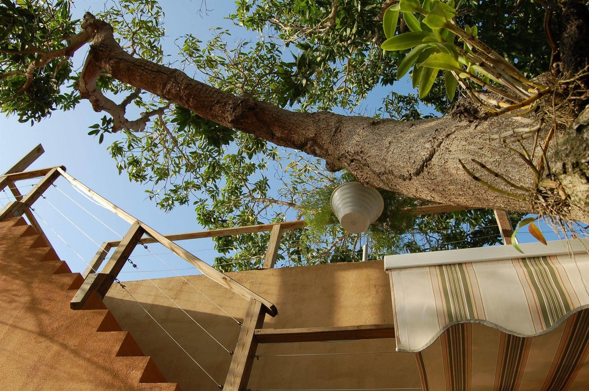 Villa Coral Guesthouse Vieques Exterior foto
